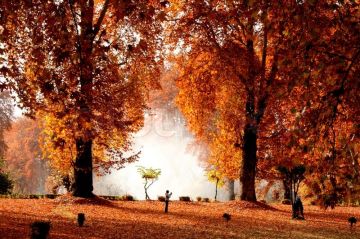 4 Days 3 Nights Srinagar, Gulmarg and Pahalgam Honeymoon Trip Package