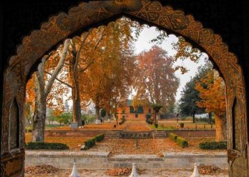 4 Days 3 Nights Srinagar, Gulmarg and Pahalgam Honeymoon Trip Package