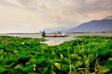 4 Days 3 Nights Srinagar, Gulmarg and Pahalgam Honeymoon Trip Package