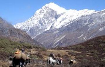 Heart-warming 10 Days Siliguri to Dzongri Wildlife Trip Package