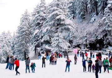 Ecstatic Kufri Tour Package from Shimla