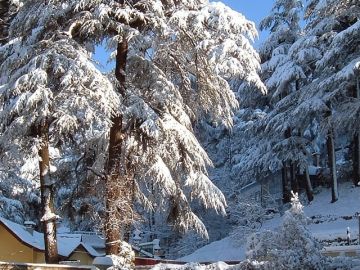 Beautiful 4 Days Shimla to Kufri Vacation Package