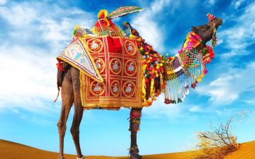 Magical Jaipur Bikaner Jaisalmer Jodhpur Udaipur - Pushkar-Jaipur Tour Package for 10 Days from Jaipur