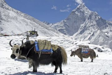 Amazing 16 Days Kathmandu, Lukla, Namche and Tengboche Holiday Package
