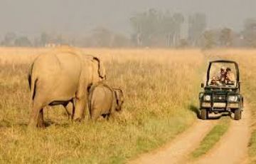 Memorable Jim Corbett Wildlife Tour Package for 3 Days 2 Nights from Uttarakhand, India