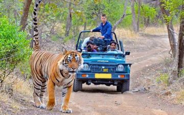 Memorable Jim Corbett Wildlife Tour Package for 3 Days 2 Nights from Uttarakhand, India