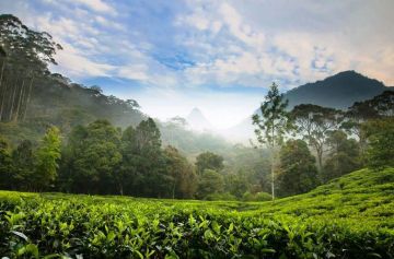 6 Days 5 Nights Bentota Nature Holiday Package