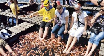 6 Days 5 Nights Bentota Nature Holiday Package