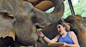 6 Days 5 Nights Bentota Nature Holiday Package