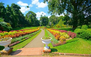 5 Days 4 Nights KANDY, NUWARA ELIYA and COLOMBO Forest Vacation Package