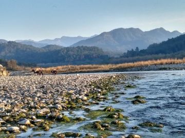 Experience 3 Days New Delhi to Jim Corbett National Park Vacation Package