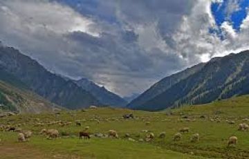 Magical 5 Days 4 Nights Sonemarg Historical Places Tour Package