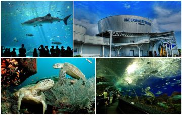 4 NIGHTS/5 DAYS LANGKAWI
