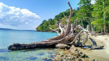 Amazing 4 Days 3 Nights Port Blair with Havelock Cruise Trip Package