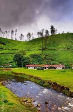 Experience 12 Days New Delhi to Munnar Tour Package