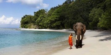 Best 6 Days Andaman And Nicobar Islands Family Tour Package