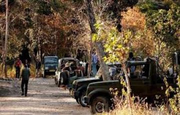 Magical 2 Days 1 Night PENCH Honeymoon Trip Package