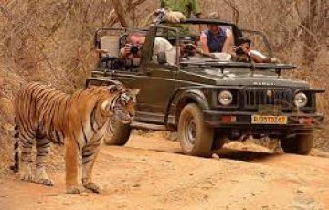Magical 2 Days 1 Night PENCH Honeymoon Trip Package