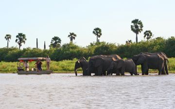 4 Day Safari to Selous Game Reserve