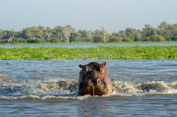 4 Day Safari to Selous Game Reserve