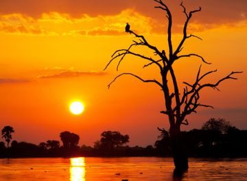 4 Day Safari to Selous Game Reserve