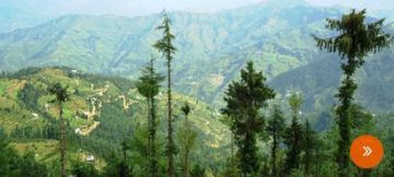 Memorable 4 Days Manali Forest Vacation Package