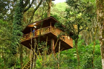 Memorable 5 Days Munnar Friends Trip Package