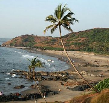 Family Getaway 3 Days Goa Wildlife Tour Package