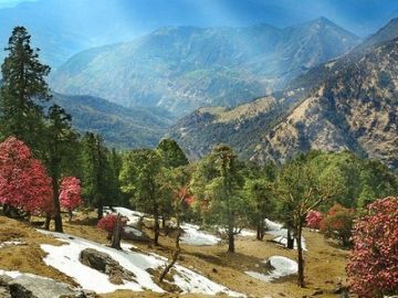 Best 4 Days 3 Nights Jimcorbett Friends Holiday Package