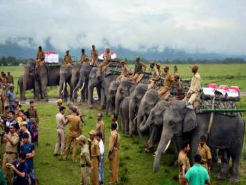 Pleasurable 4 Days 3 Nights Kaziranga National Park Romantic Trip Package