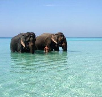 Experience 3 Days Andaman And Nicobar Spa and Wellness Vacation Package