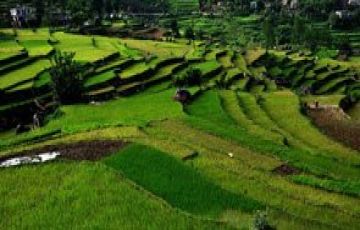 Family Getaway 2 Days 1 Night Kausani Lake Vacation Package