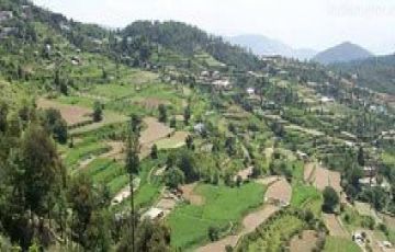 Magical 2 Days 1 Night Chail Weekend Getaways Holiday Package