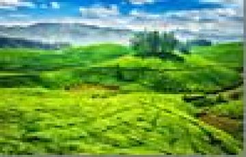 Magical Alleppey Tour Package for 5 Days