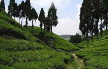 Beautiful 2 Days 1 Night Mirik Mountain Vacation Package