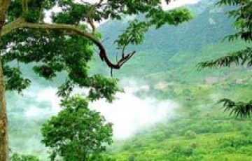 Magical 2 Days 1 Night Araku Valley Family Vacation Package