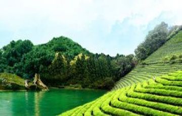 Best 2 Days 1 Night Idukki Honeymoon Tour Package