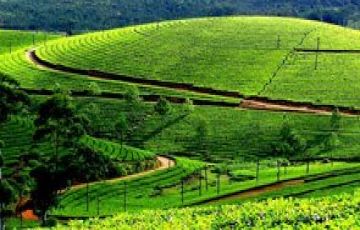 Memorable 2 Days 1 Night Munnar Religious Trip Package