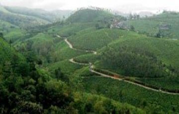 Heart-warming 2 Days 1 Night Peermade Holiday Package