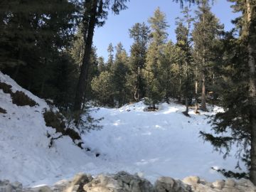 4 Nights 5 Days Kashmir Holiday Package