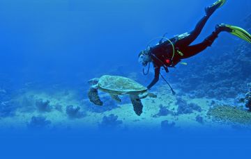Ecstatic 2 Days Lakshadweep Nature Tour Package