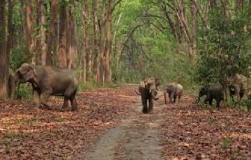 Best 8 Days New Delhi to Dehradun Trip Package