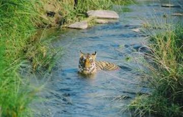 Best 8 Days New Delhi to Dehradun Trip Package