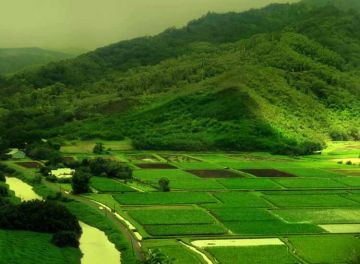 Pleasurable 2 Days Coorg Offbeat Holiday Package