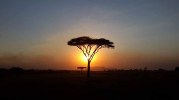 Amazing 13 Days Arusha to Serengeti Romantic Trip Package