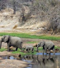 Amazing 13 Days Arusha to Serengeti Romantic Trip Package