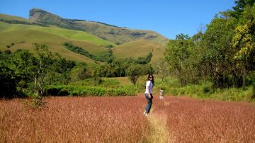 Family Getaway 2 Days Kudremukh Tour Package