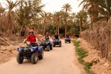 Best 2 Days Goa Wildlife Holiday Package