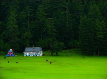 Best Khajjiar Friends Tour Package for 2 Days 1 Night