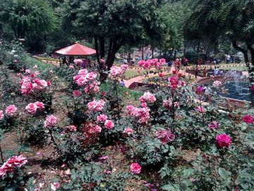 Experience 2 Days Ooty Hill Stations Trip Package